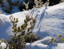 Загородный дом и дача: как и зачем задерживать снег в феврале