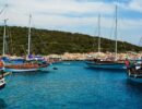 Турецкий отельер возмутился публикациями СМИ о дороговизне отдыха в Бодруме