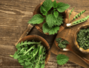 Одуванчик, крапива или шпинат: самые полезные летние травы и рецепты с ними