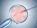 Отложенное родительство. Заморозка эмбрионов ‘до востребования’ — бывает всякое… Заморозка яйцеклеток на будущую беременность