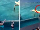 Испанский футболист спас тонущих туристов во время отдыха на Мальдивах