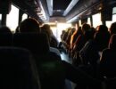 Нехватку туристических автобусов в России хотят решить «Круизами» и «Серпантинами»