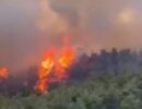 На Эгейском побережье Турции борются с лесными пожарами