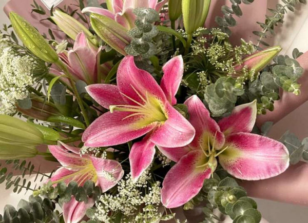 Орхидеи для карьеры, пионы для любви, лилии для богатства: цветы для дома по фэн-шуй