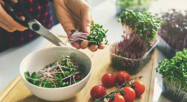 В пять раз полезнее овощей: как вырастить микрозелень дома
