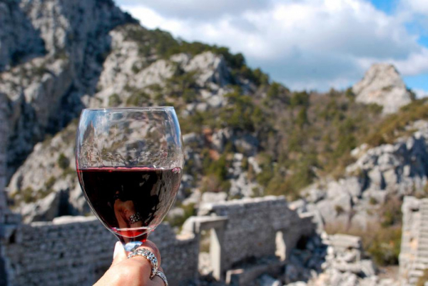 Миф или правда: как влияет красное вино на кровяное давление