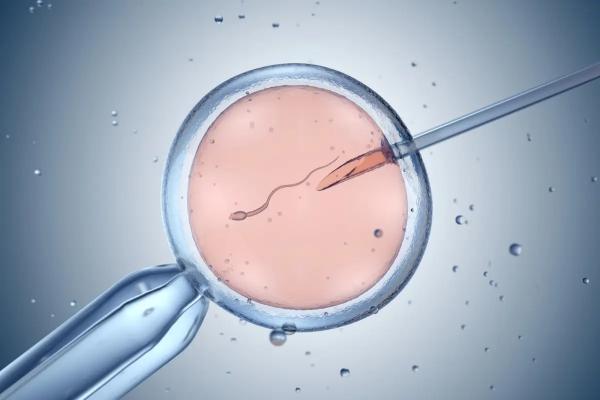 Отложенное родительство. Заморозка эмбрионов 'до востребования' - бывает всякое... Заморозка яйцеклеток на будущую беременность