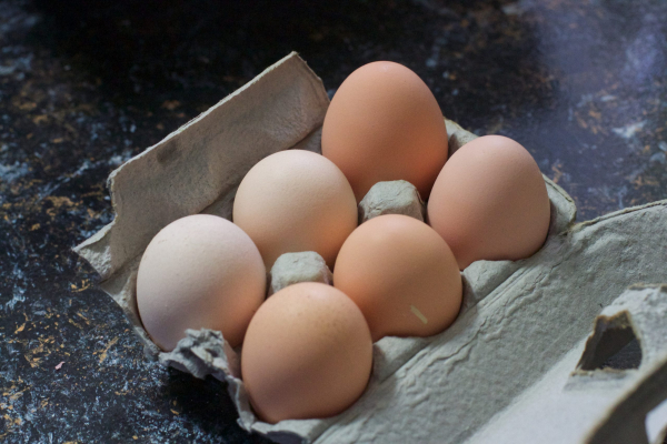 Можно ли есть яйца каждый день, польза и вред для организма